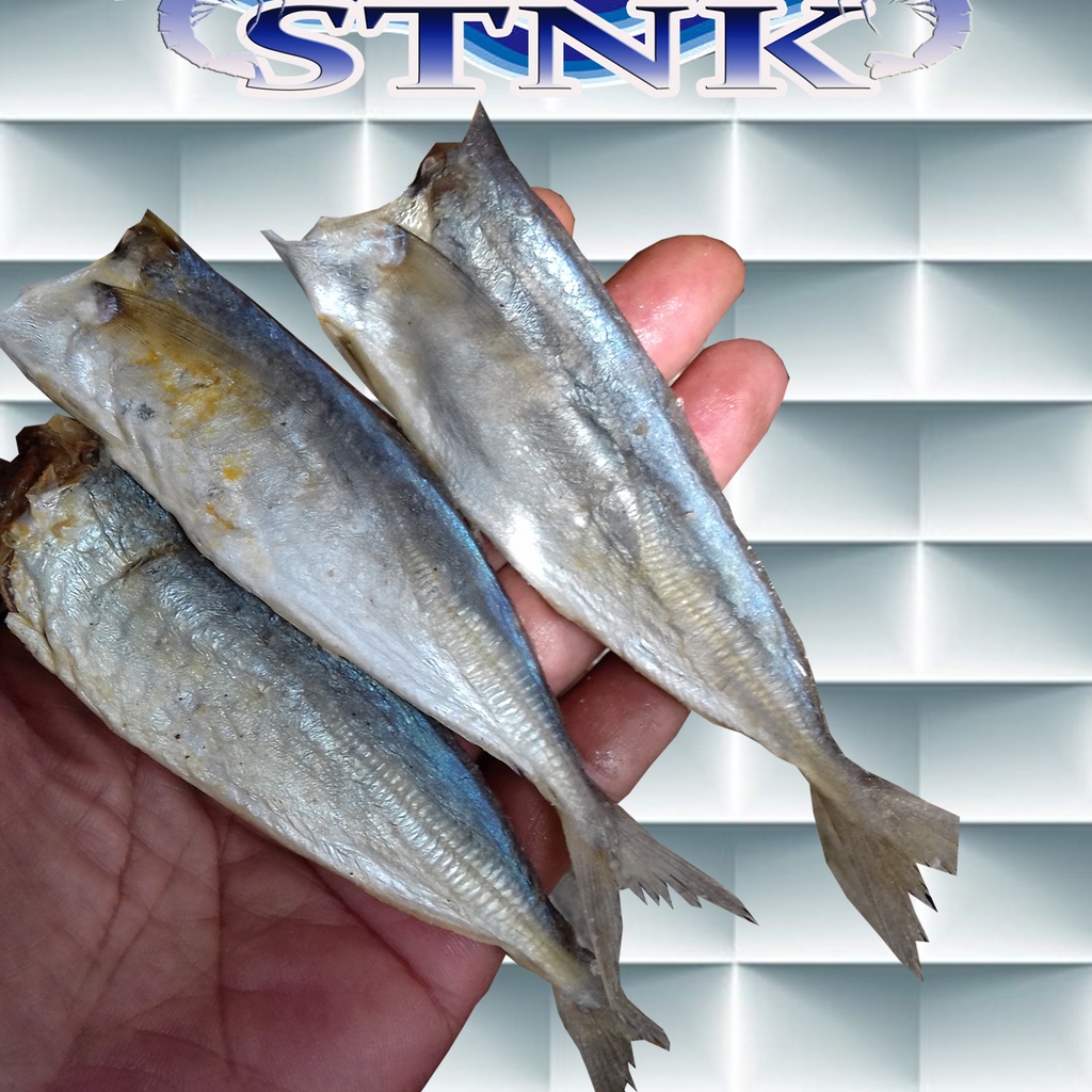 

Ikan Asin Layang PK/Ikan Asin Layang Tanpa Kepala