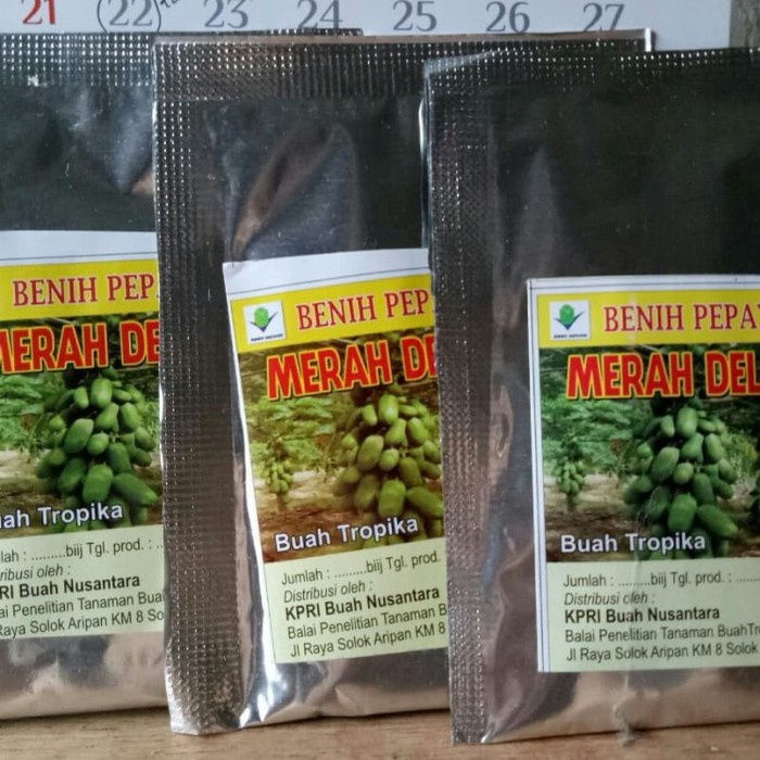 benih pepaya merah delima isi 200btr