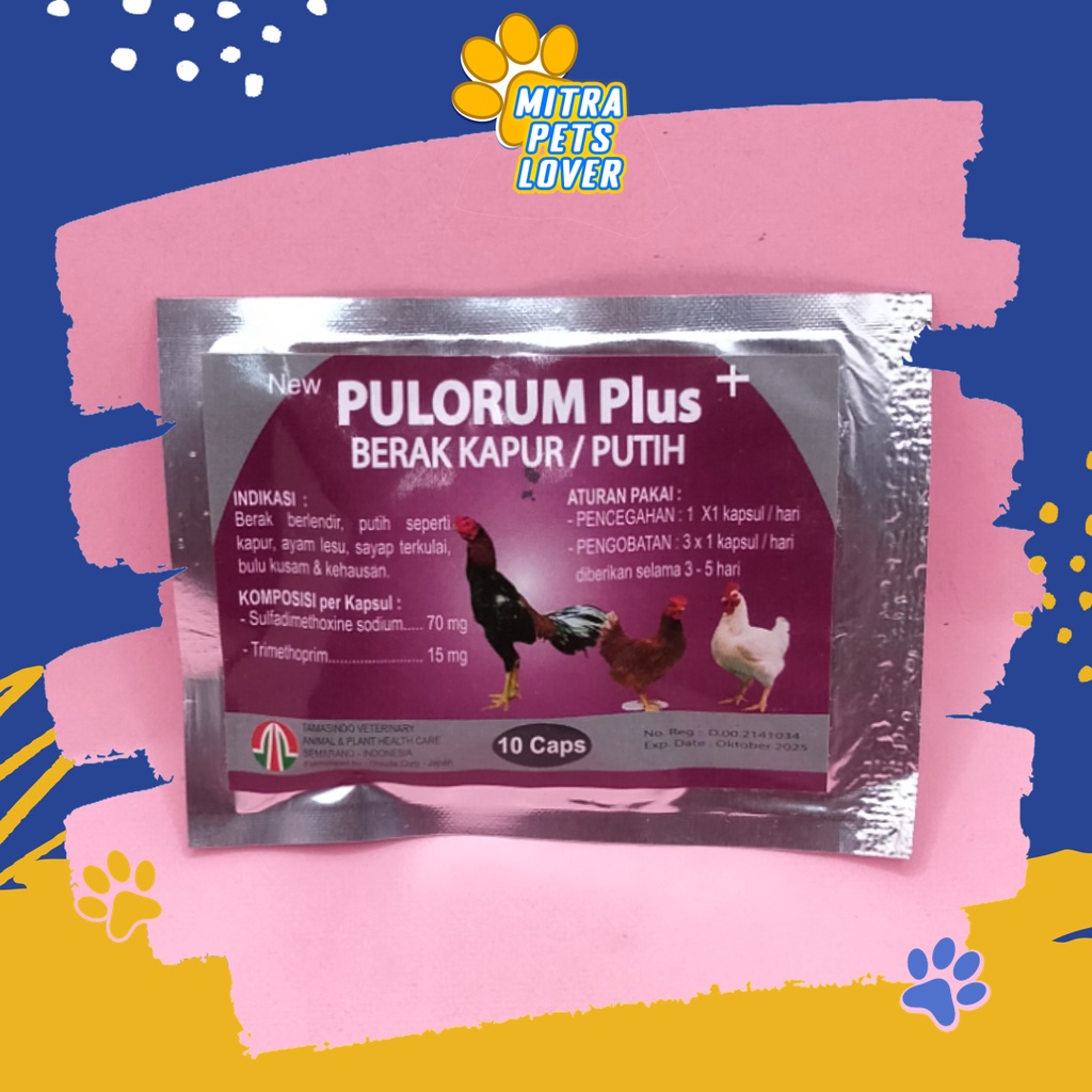 OBAT DIARE KOTORAN BERAK AYAM PUTIH BERLENDIR - PULORUM PLUS 10 CAPS - MENGOBATI KOTORAN SEPERTI KAPUR BADAN LESU KEHAUSAN BULU KUSAM PADA AYAM CHICKEN - BERKUALITAS MURAH ORIGINAL ASLI TAMASINDO VITAMIN TERNAK HEWAN BINATANG PELIHARAAN MITRAPETLOVER