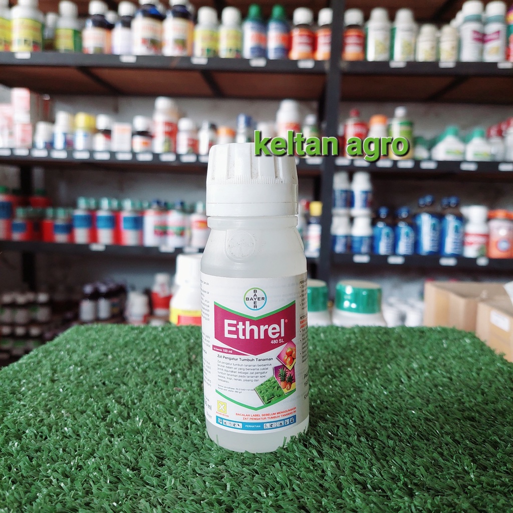 ETHREL 480 SL ( 100 ml )