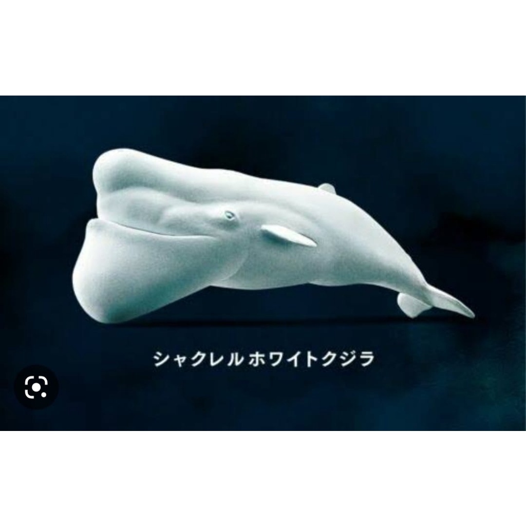 Shakurel Planet Episodes of White - Whale