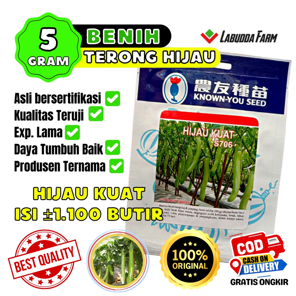 Terong Hijau Kuat S706 5 Gram Isi 1100 Butir Asli Cap Known You Seed - Benih Terong Hijau Kuat - Bib