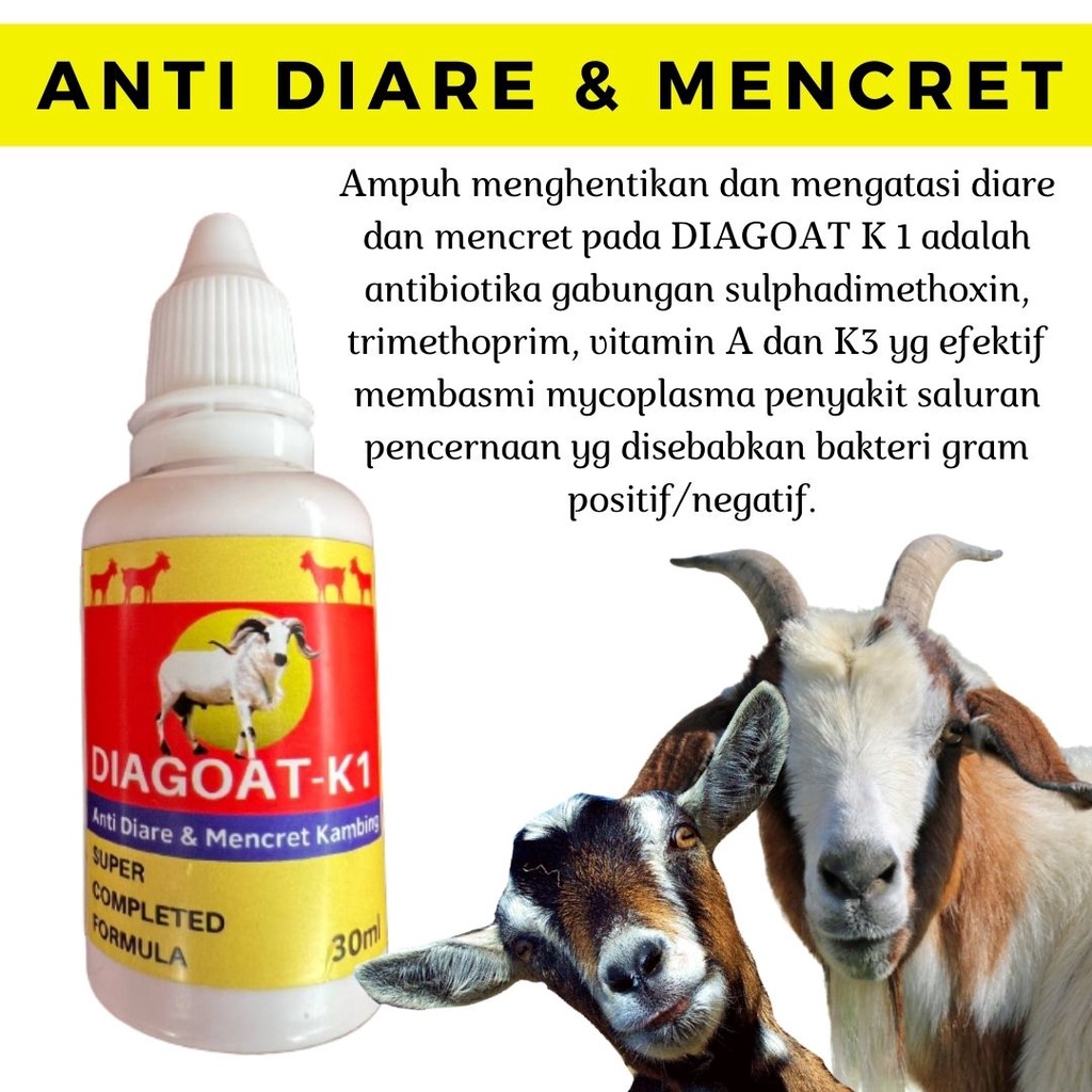 Obat Diare Mencret Kambing Domba Ampuh DIAGOAT K 1 FEZONE