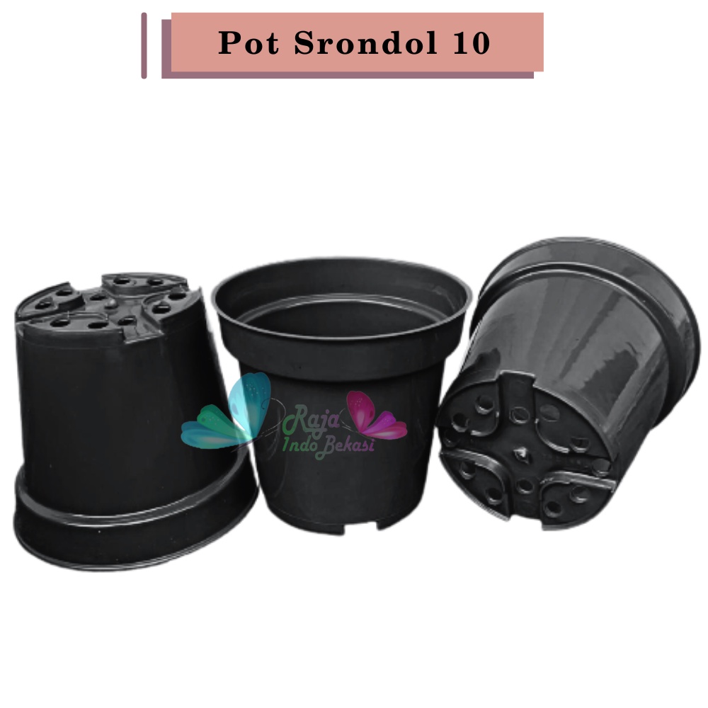 Pot 10cm Hitam Murah - Pot Bulat Mini Kecil Bisa Untuk Vas Bunga Pot 10 cm Hitam Polos Pot Tawon 10