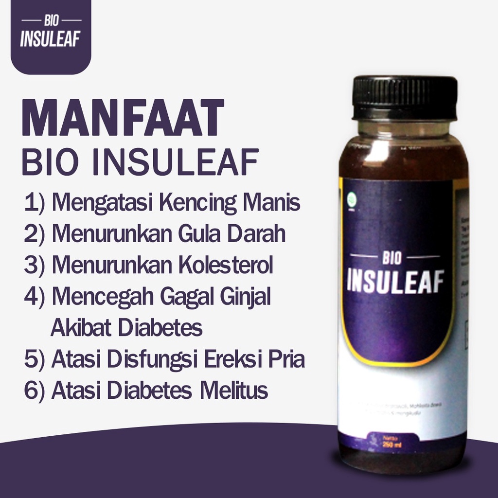 Bio Insuleaf - ATASI DIABETES MELITUS cegah  Kerusakan Jantung Solusi Atasi Kencing Manis, Kurangi Kadar Glukosa Gula Darah Tinggi Atasi Kolesterol Hati Ekstak Mengkudu Brotowali  Mahkota Dewa Kunyit Obat Jamu Tropicana insulif Insulin [Cod]