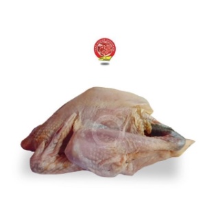 

AYAM PEJANTAN