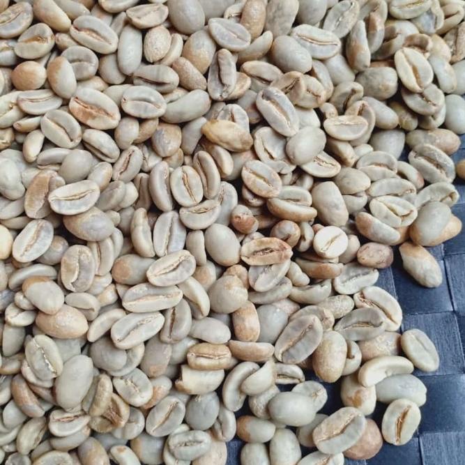 

✾ Green Bean Arabica Gayo Natural G1 ♧