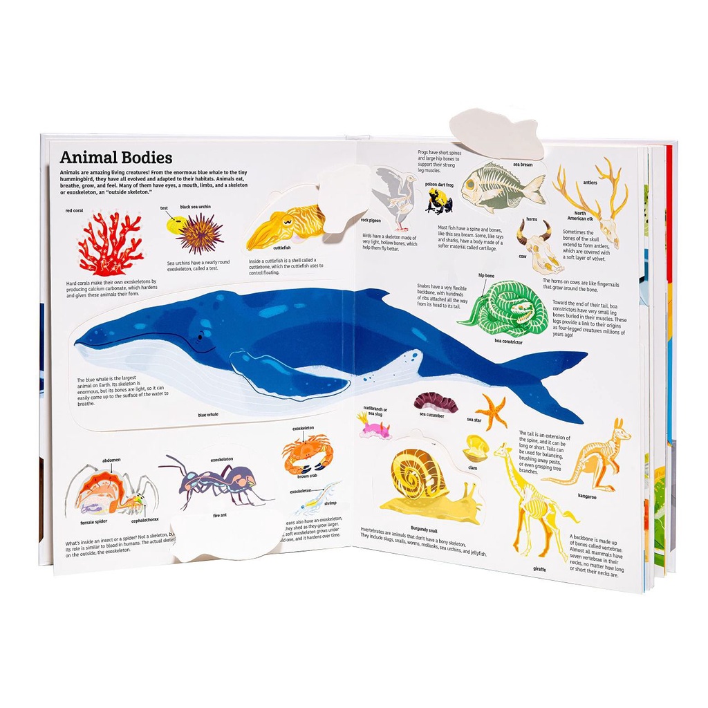The Ultimate Book of Animals