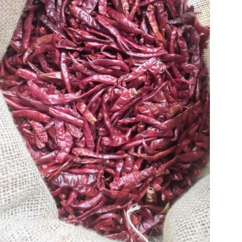 

☄ Cabe TEJA Merah Kering 1kilogram Dijamin Pedas Dan Fresh ❇