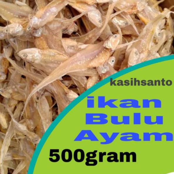 

♟ Ikan asin bulu ayam-500gram ✺