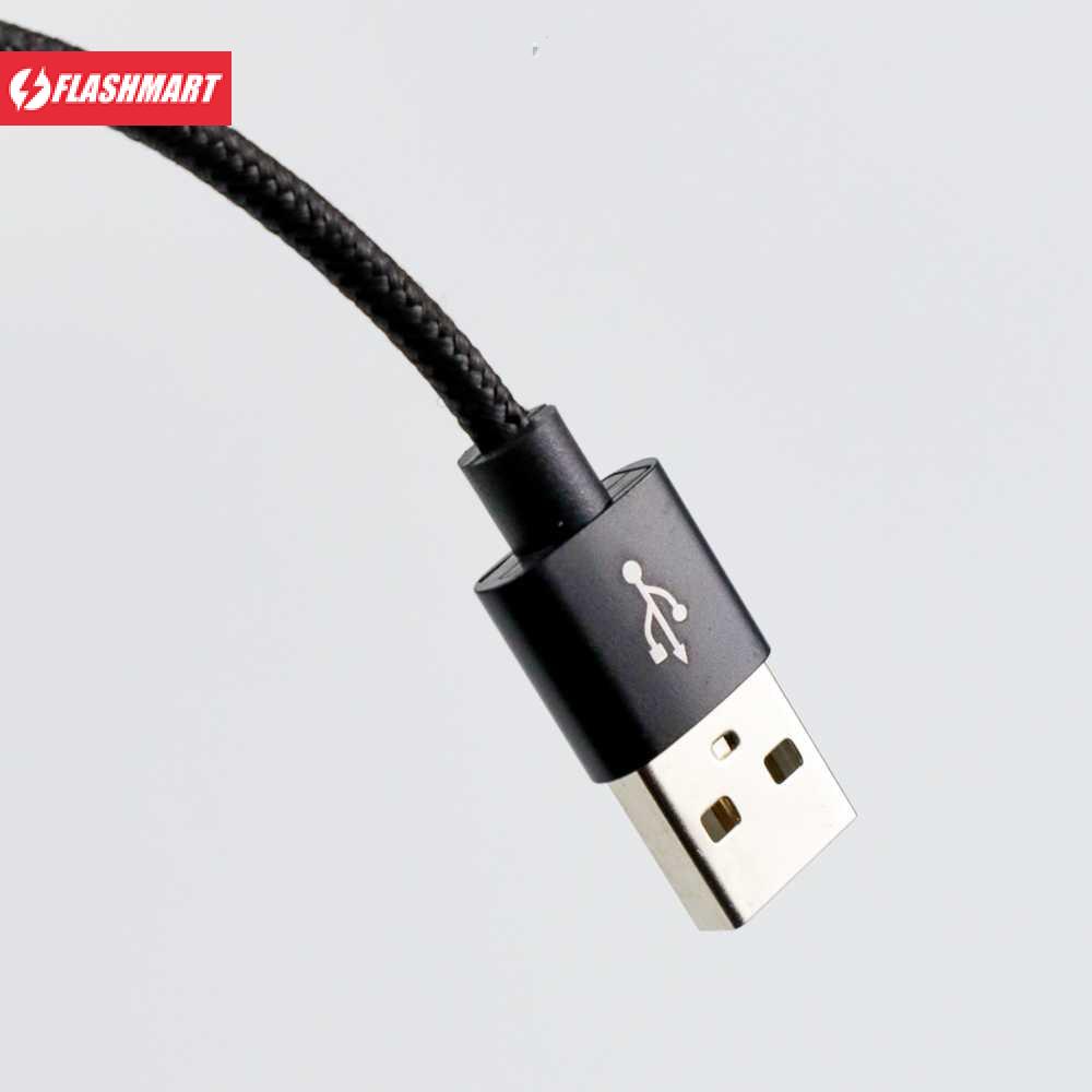 Flashmart Dragon Line Kabel USB Type C 25 cm - AV140