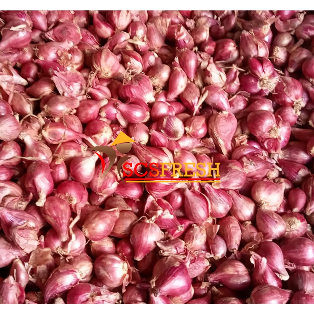 

Bawang Merah 1 KG