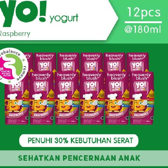 

✺ Yogurt Heavenly Blush YO! Raspberry Pumpkin [12 x 180 ml] ◘