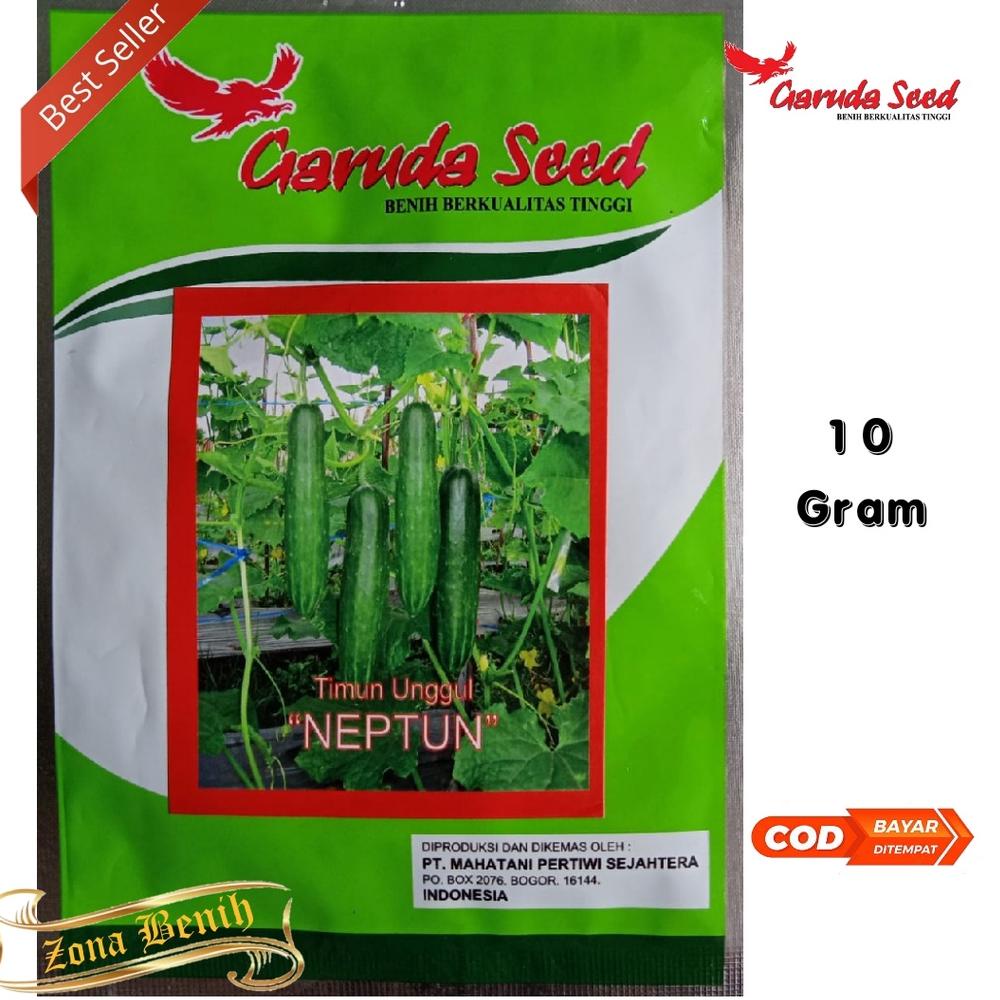 Terlaris Isi 10 Gram Bibit Timun Hijau NEPTUN Benih Timun Mentimun Bibit Unggul