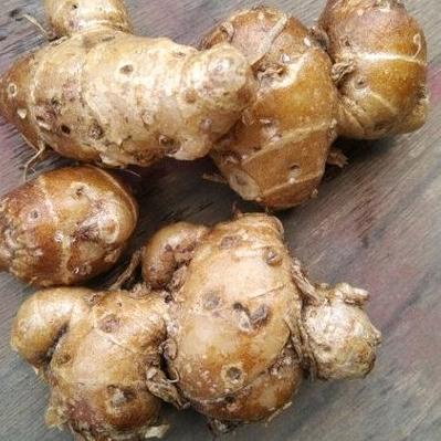 

Siap Kirim Kencur super cuci bersih 1kg