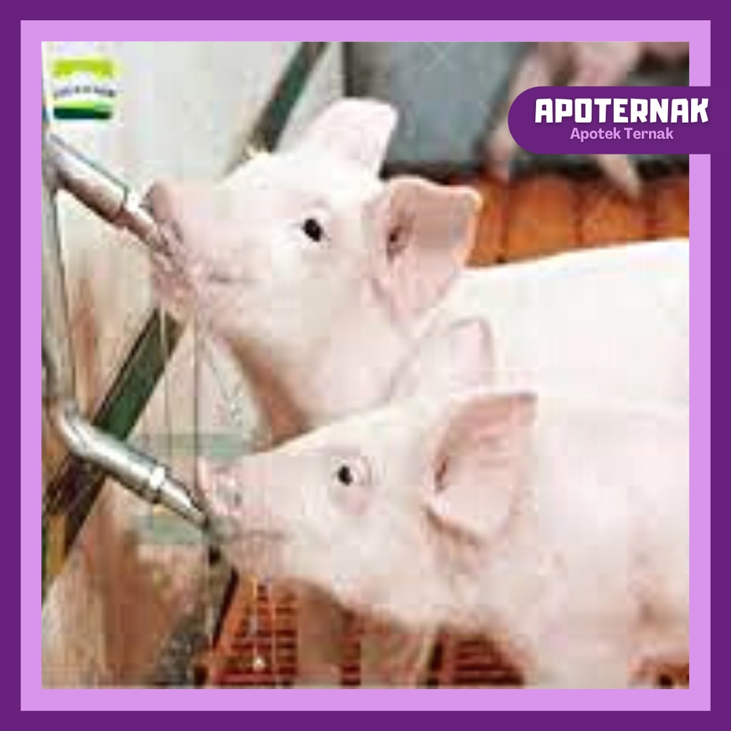 NIPPLE DRINKER Type A2 | Niple Nipel Nepel Otomatis | Alat Minum otomatis Hewan Ternak Kambing Domba Babi