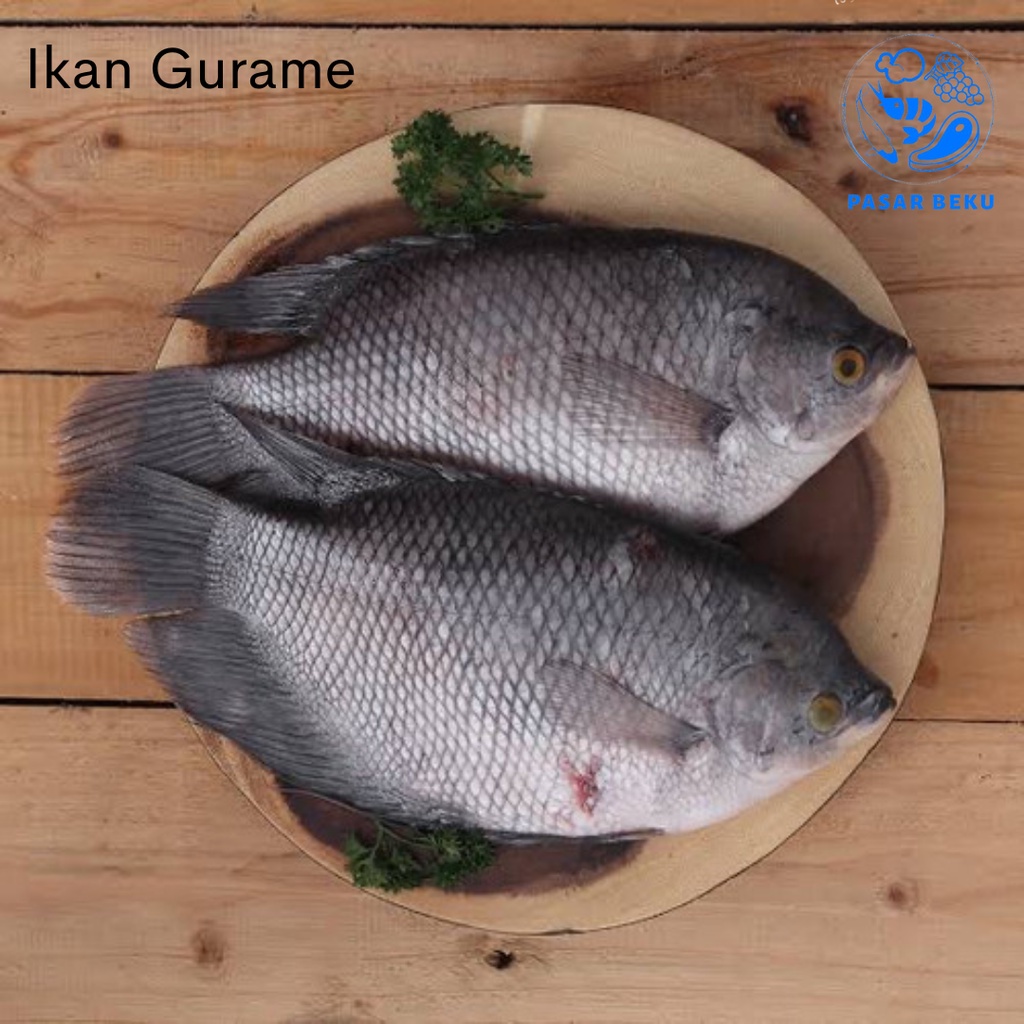 

Ikan Gurame Segar Food Fresh Ikan 500gr Pasar Beku Padang