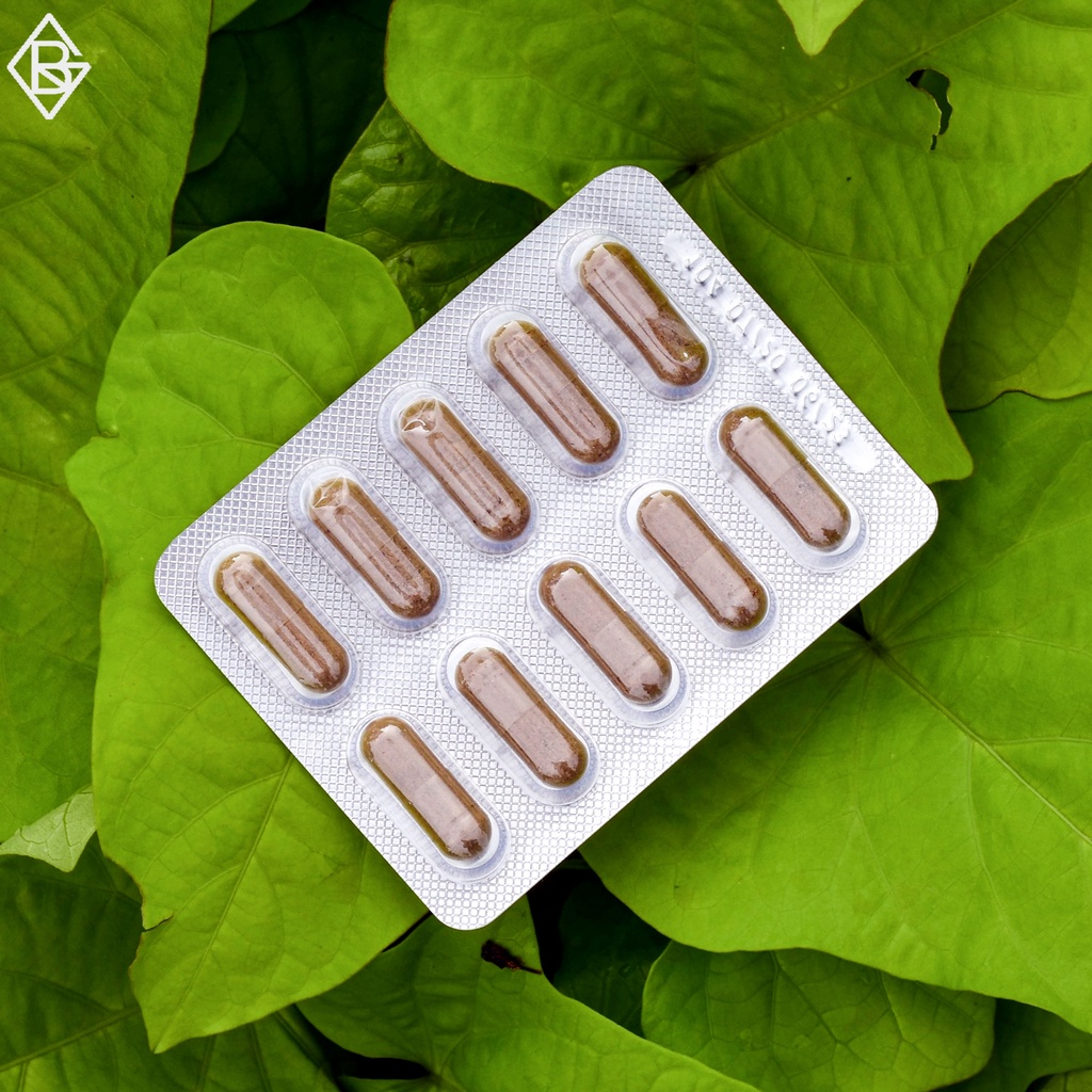 Ayurveda Ayulite 30 Capsules | Ayulite Klink | Suplemen Kesehatan Klink | Original Klink