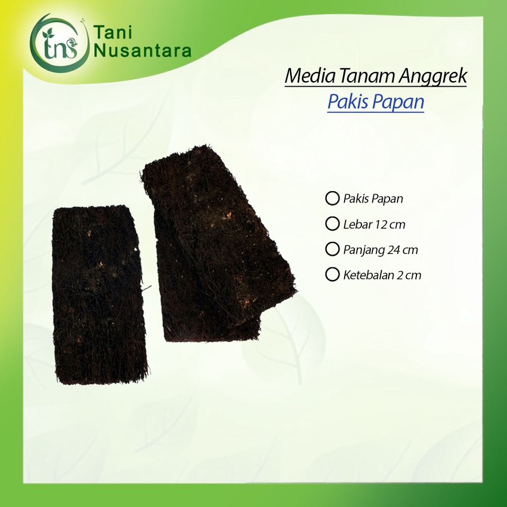 

Media tempel Papan pakis Anggrek