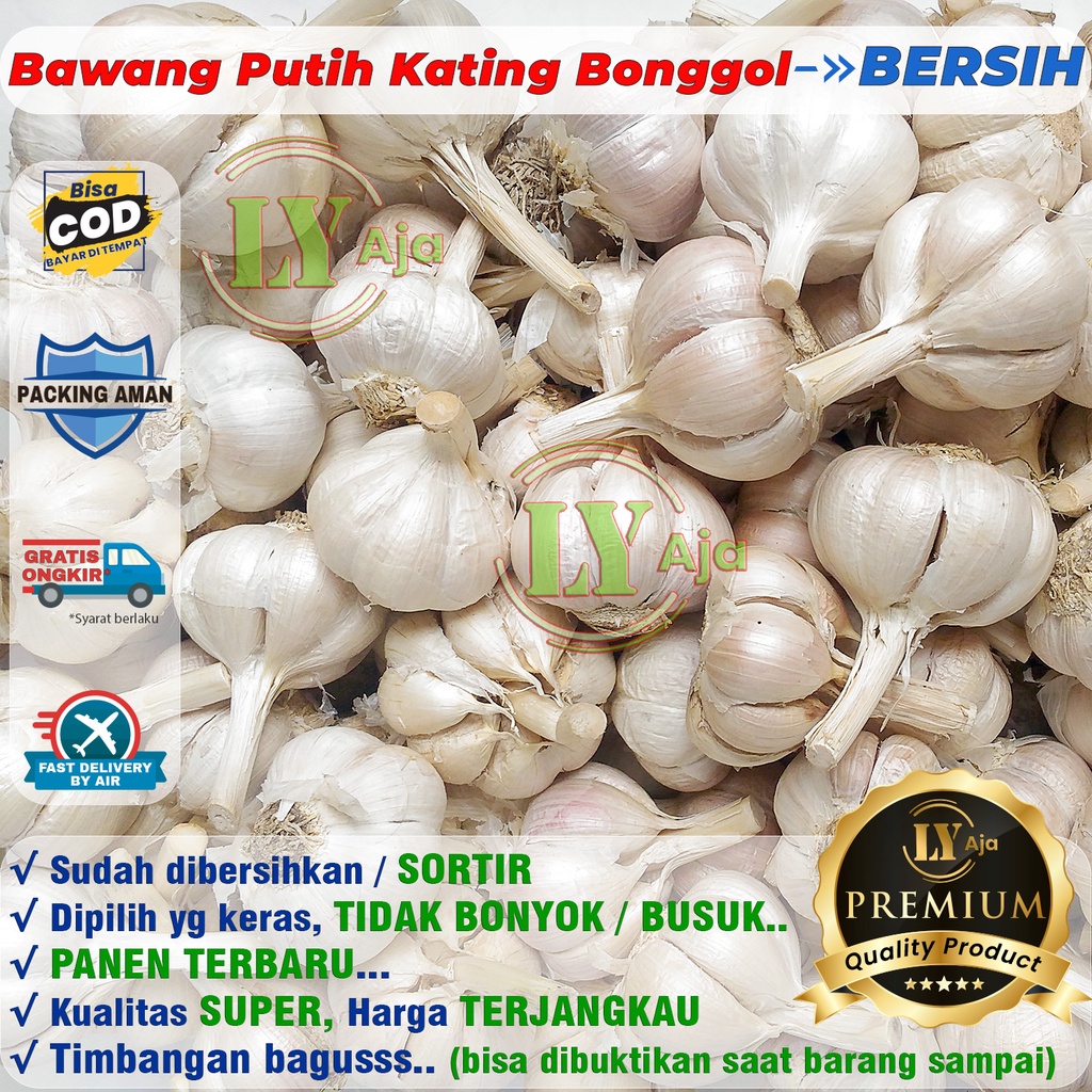 Bawang Putih Kating BERSIH dan KOTOR Bonggol 1 Kg Kualitas Super LY Aja 1Kg