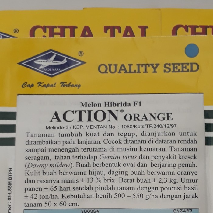 Benih Rock Melon Action Orange 10 gram