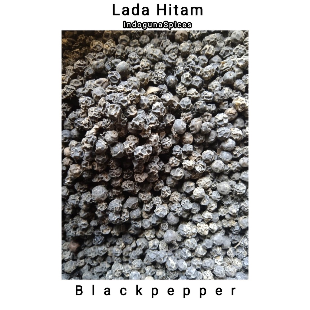 

Lada hitam butir murni / Sahang / Blackpeper 1KG