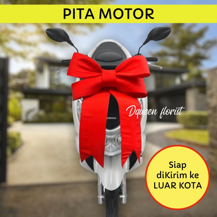 PITA MOTOR PREMIUM