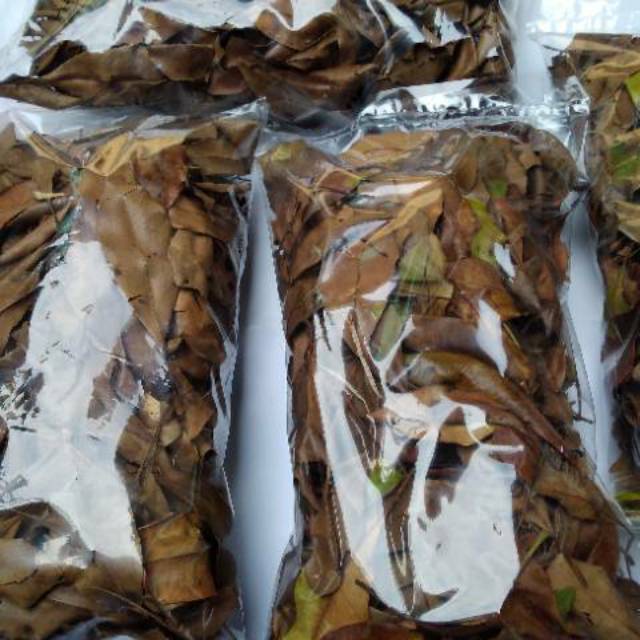 

TERBAIK DAUN COCOR BEBEK KERING HERBAL -1 KG