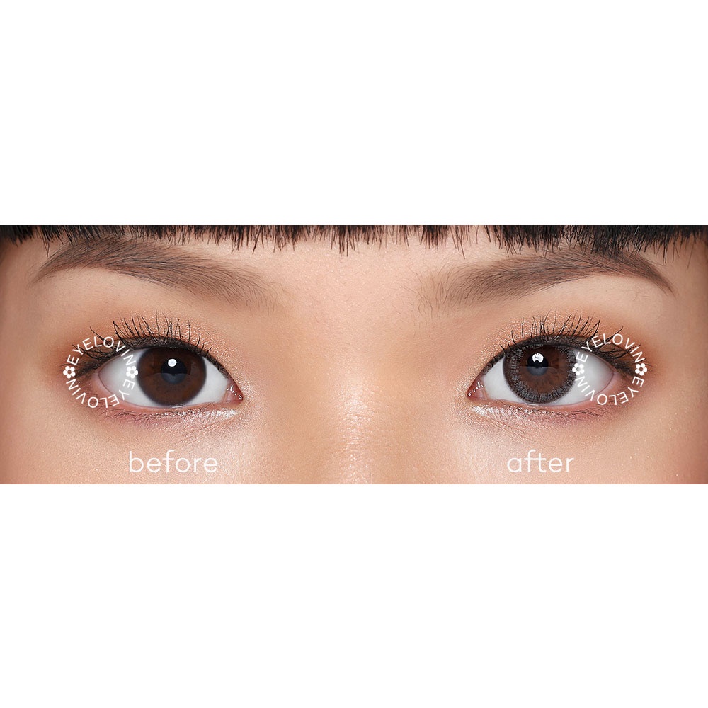 Eyelovin x Patricia Stephanie Softlens Neo Cosmo - Autumn Brown / Grey (NORMAL ONLY)