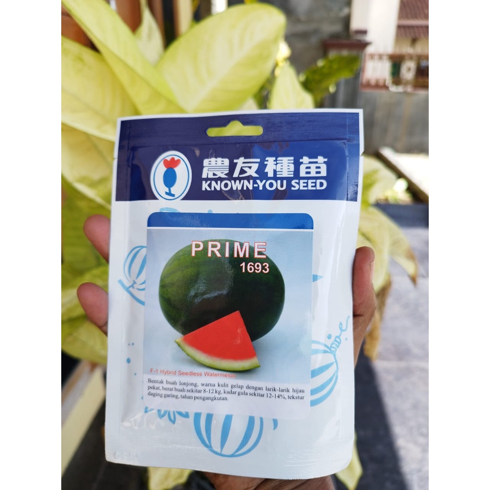 PRIME ADALAH MERK BENIH SEMANGKA NON BIJI TERBAIK DAN BERKUALITAS TINGGI