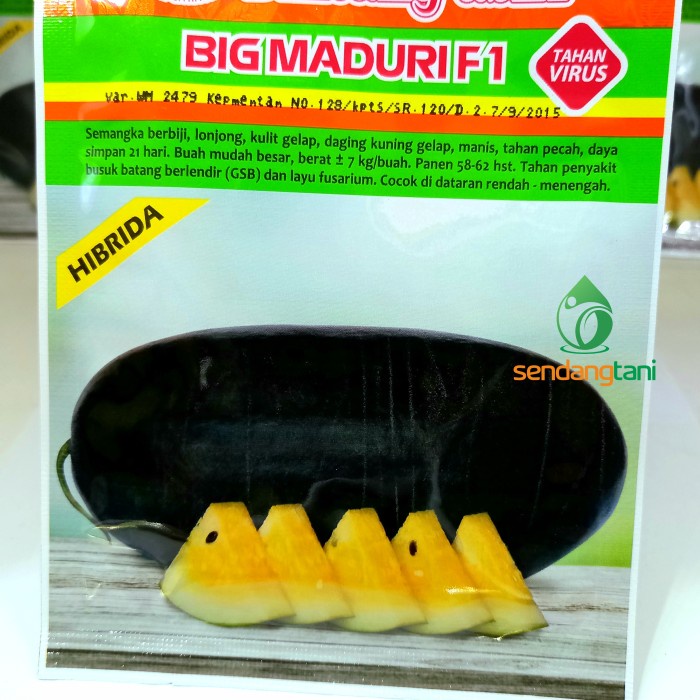 Semangka BIG MADURI F1 20 gr Benih Semangka Inul Kuning Bintang Asia