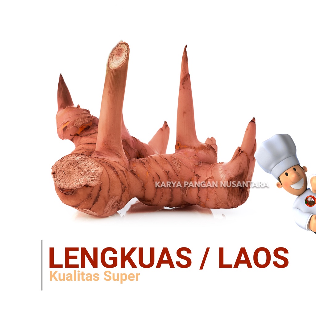 

LENGKUAS FRESH LAOS SEGAR KUALITAS SUPER BUAH LAOS GALANGAL 250 GRAM