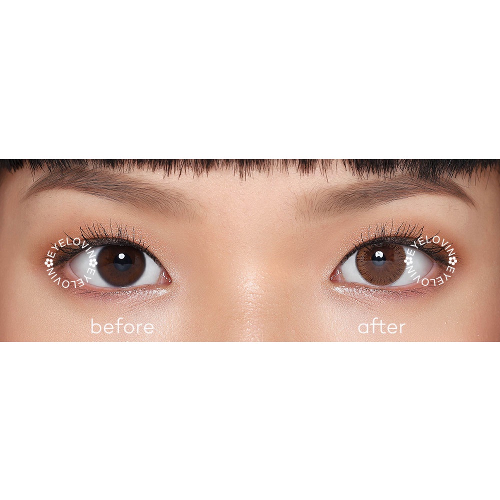 Eyelovin x Patricia Stephanie Softlens Neo Cosmo - Autumn Brown / Grey (NORMAL ONLY)