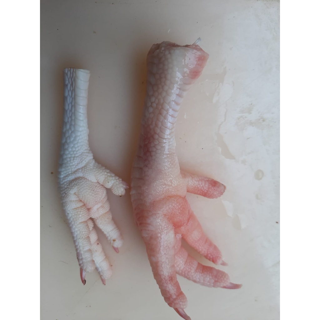 Ceker ayam parent isi 1kg/ceker ayam JUMBO/ceker ayam tua/ayam parent/parting ayam parent
