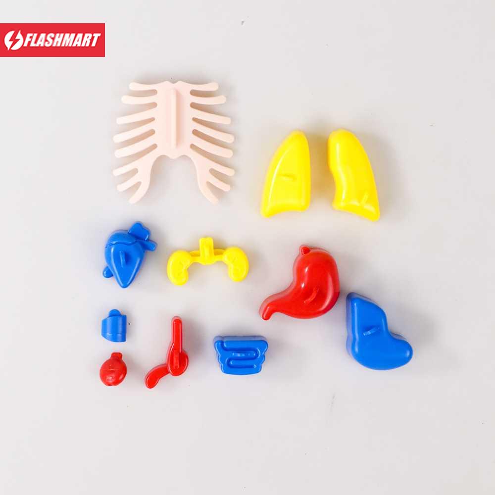 Flashmart Mainan Anak Montessori Body Anatomy Children Toy - DD232