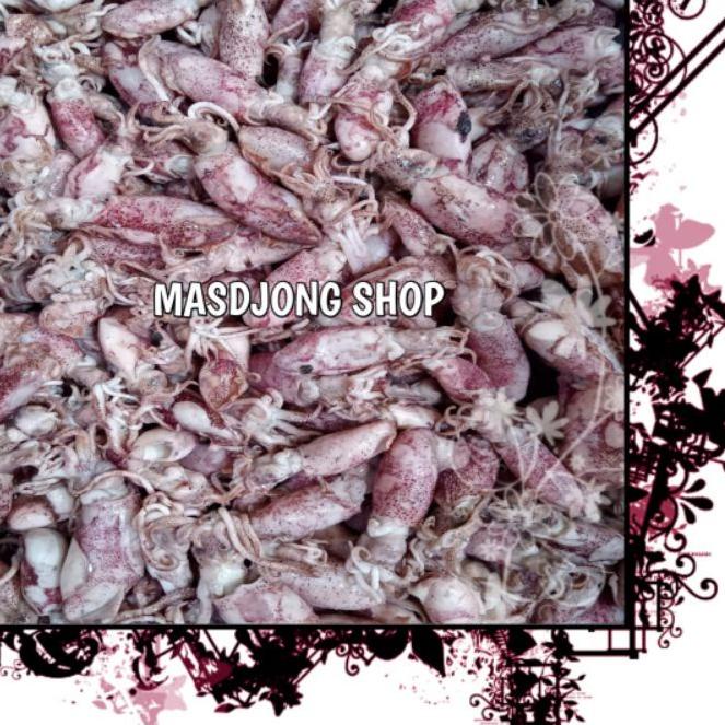 

☊ CUMI ASIN BABY SIZE (2-4cm)(1000gr/1kg). ❂