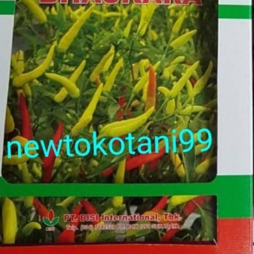 ❈ Benih cabe rawit putih hibrida BHASKARA F1 10 gram cabai baskara f1 10gr dari bisi chia tai ☞