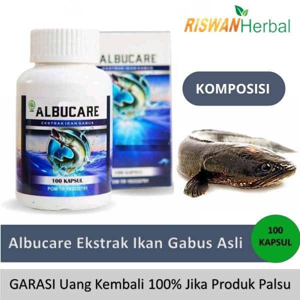 Albucare Original 100 Kapsul Ekstrak Ikan Gabus Kutuk Asli BPOM