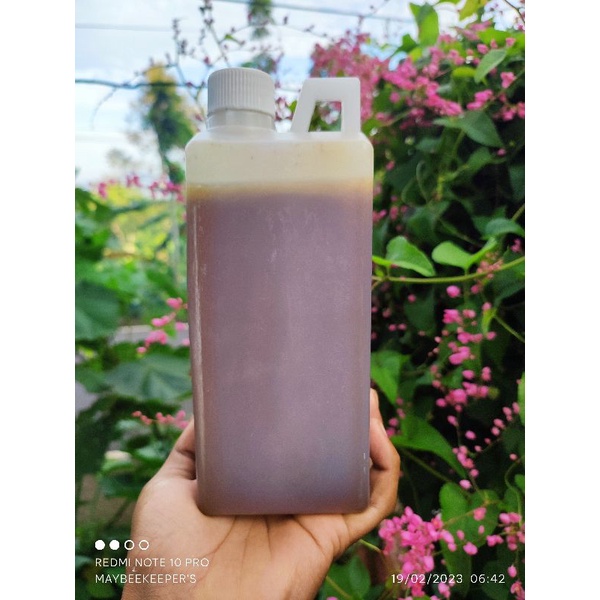 

Madu Asli Murni Apis Cerana, Lebah Lokal Bukan Ternak isi 1 Liter