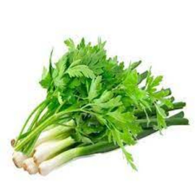 

daun pere / daun bawang