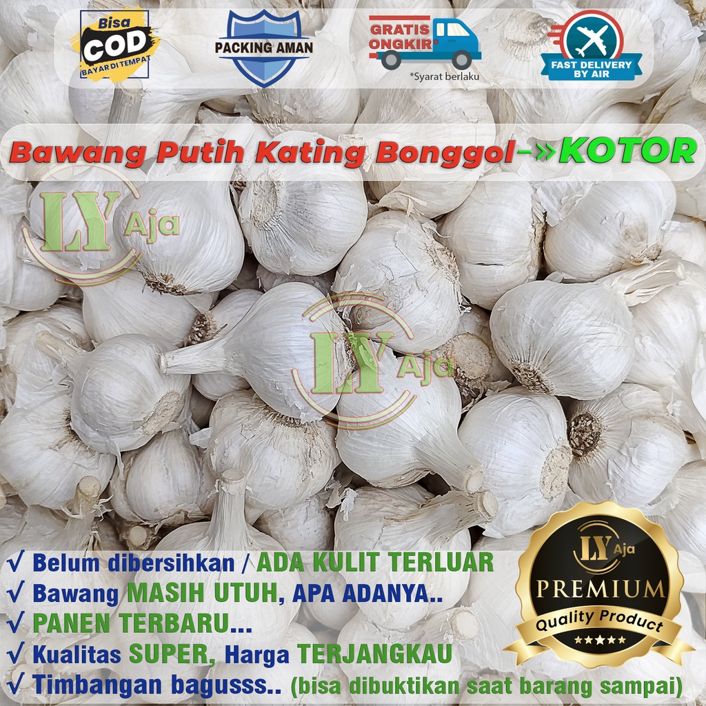 Bawang Putih Kating BERSIH dan KOTOR Bonggol 1 Kg Kualitas Super LY Aja 1Kg