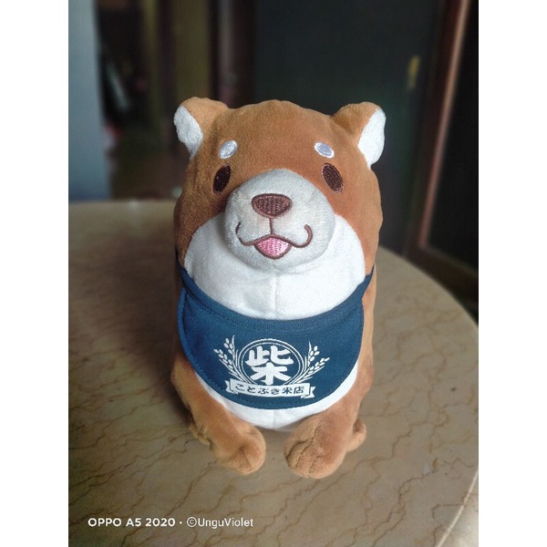 boneka shiba