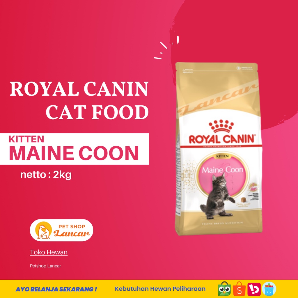 Royal Canin Kitten Maine Coon 2 Kg FreshPack