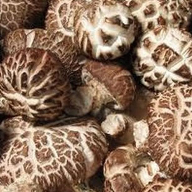 

➺ r Shitake Hioko Xiang Dried Gu Shitake Mushroom r Shitake Kering 500gr ⅎ