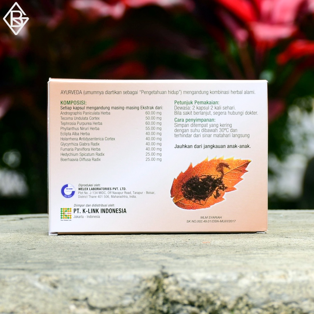 Ayurveda Ayulite 60 Capsules | Ayulite Klink Berisi 60 Kapsul | Original Klink