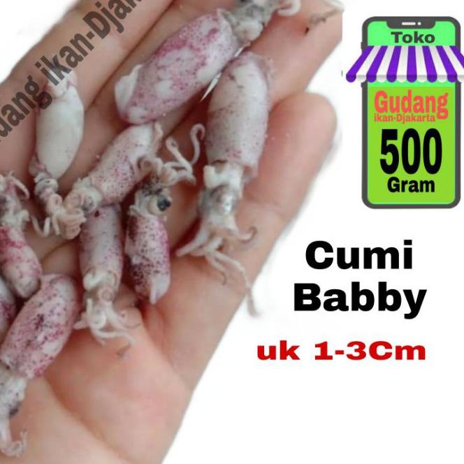 

➩ Ikan asin babby cumi netto-500gram ○