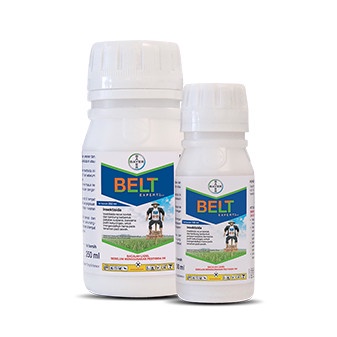 insektisida belt expert 480sc 250ml