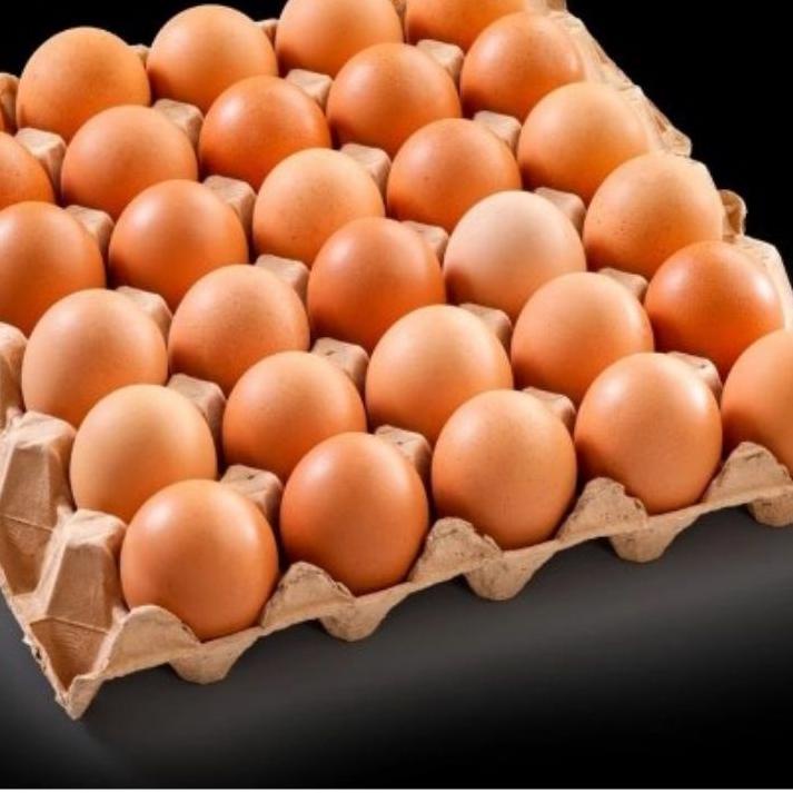 

Spesial Promo TELUR AYAM 1KG PROMO