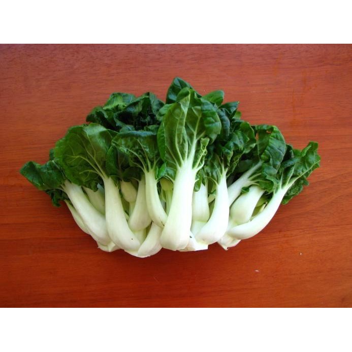

Baby Pakcoy Putih Naibai Topai Topacay To bai cai TOPAY Pokchoy IMPORT 500 gr
