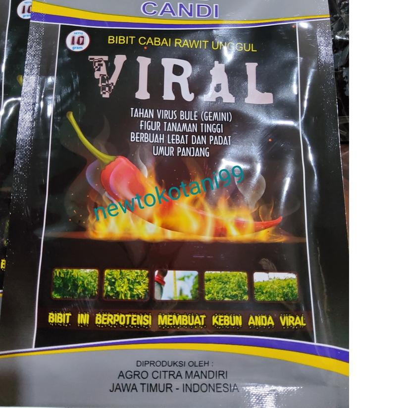 ♜ Benih cabe VIRAL 10 gram cabe rawit viral 10gr dari agro citra mandiri ✤